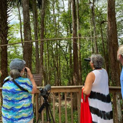 Our boardwalk is great for Birding
