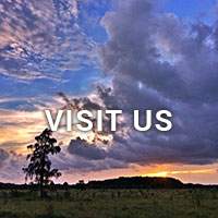 Visit Us