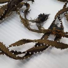 Image of Damages