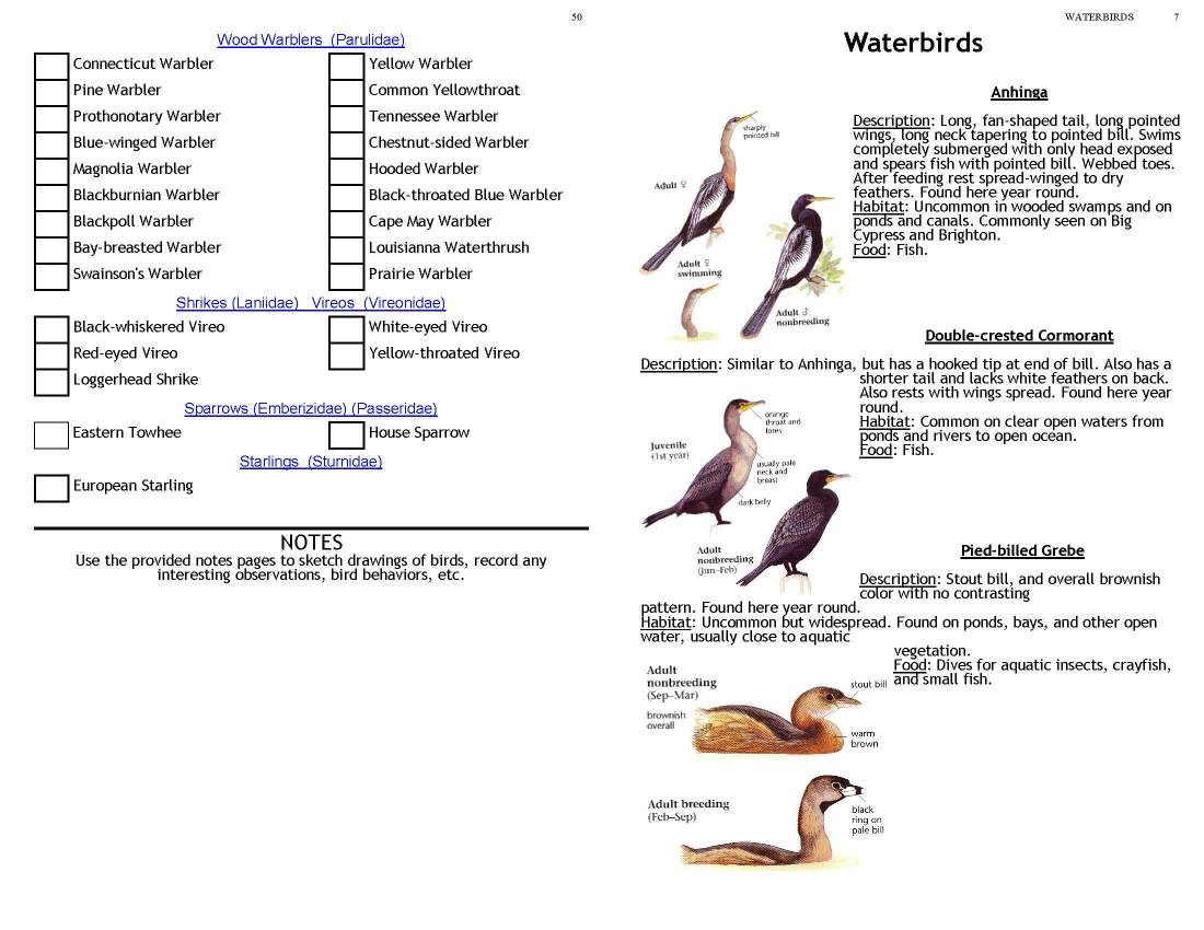 ERMD_Birding_FieldGuide 5_Page_07