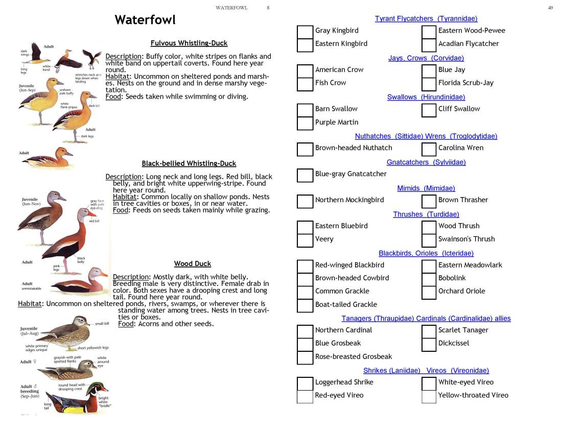 ERMD_Birding_FieldGuide 5_Page_08