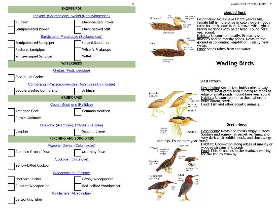 ERMD_Birding_FieldGuide 5_Page_09