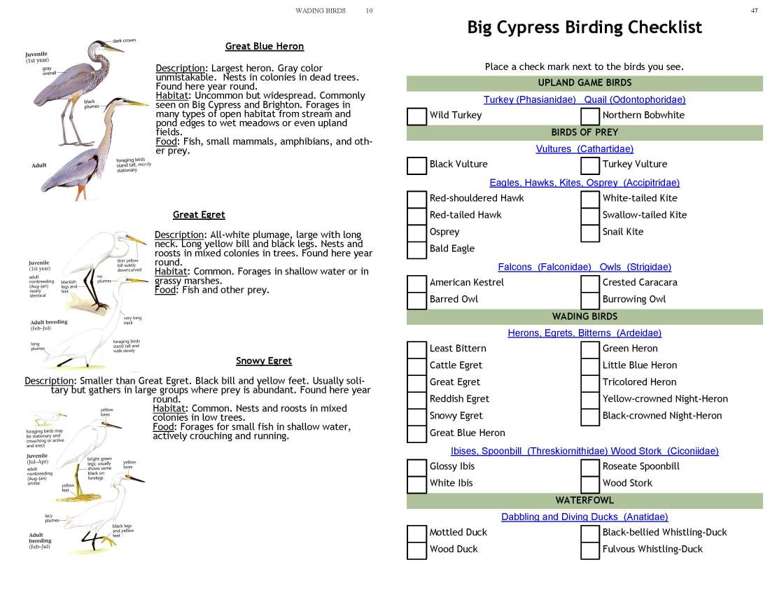 ERMD_Birding_FieldGuide 5_Page_10