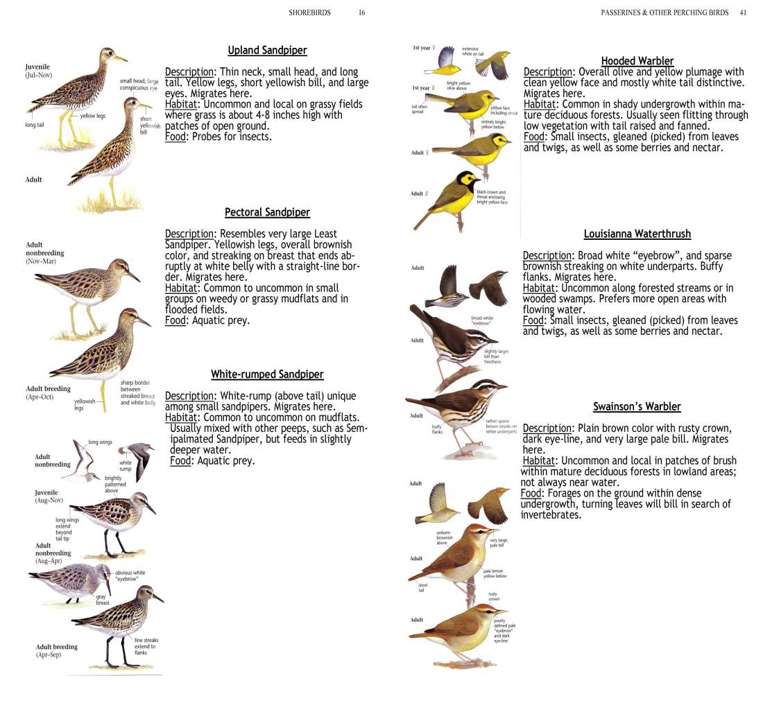 ERMD_Birding_FieldGuide 5_Page_16