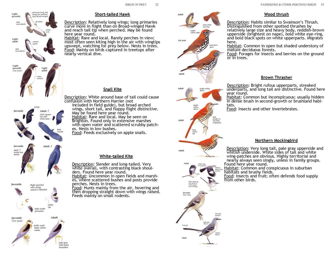 ERMD_Birding_FieldGuide 5_Page_22
